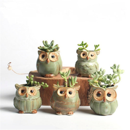 Cute Small Owl Shaped Flower Pots